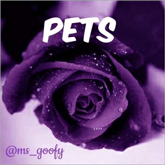 Various items - Picture 1 of 1